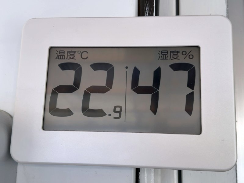 清々しい朝やった～