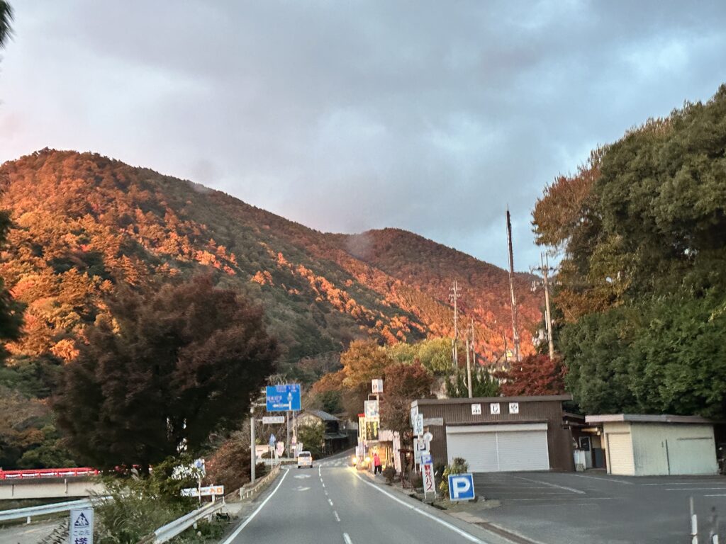こんにちは、今日も良い天気。