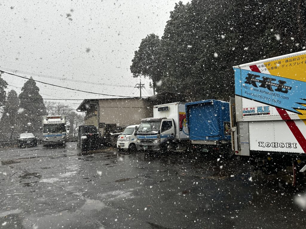 来たぁーーーー！