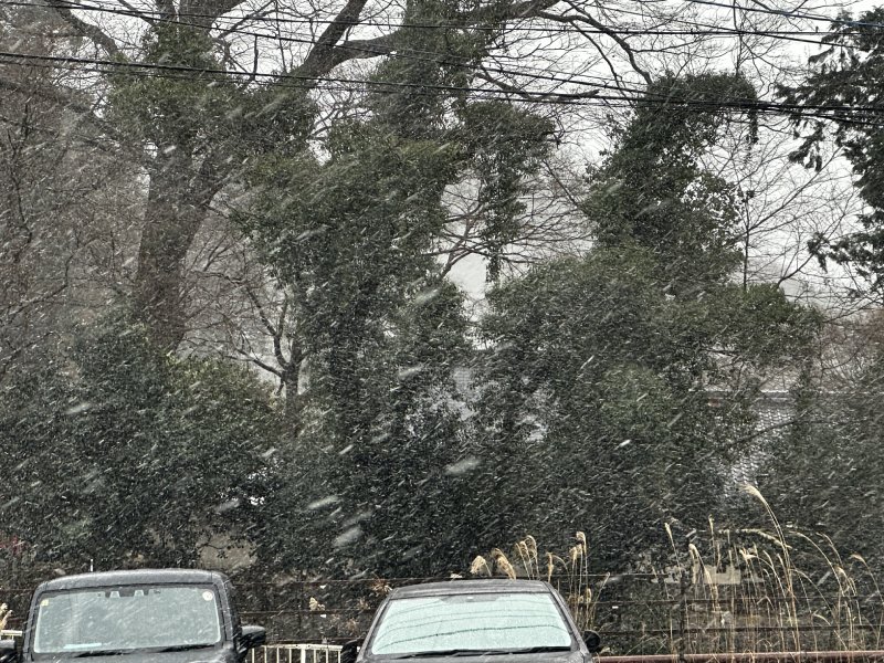 お疲れでーーすw