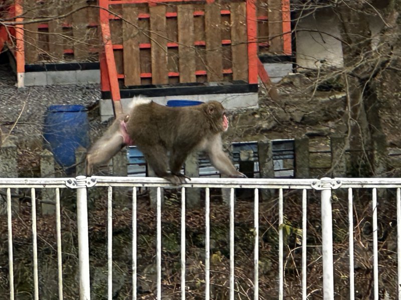 今日もご苦労様でした！！