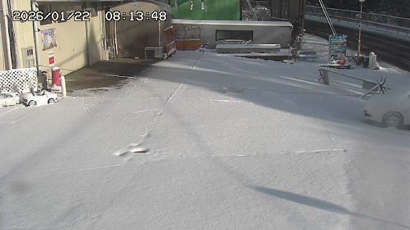 今日はみんな居ない!!!