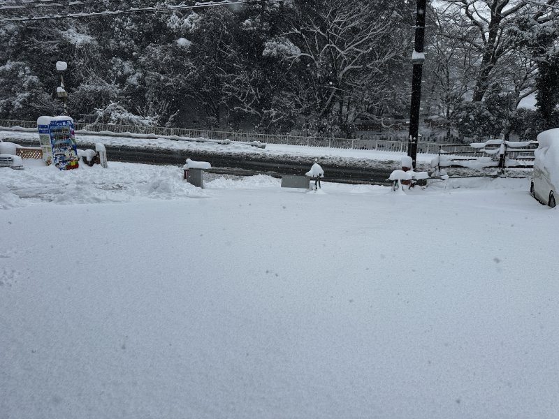 いきなり開店休業やぁ～（笑）