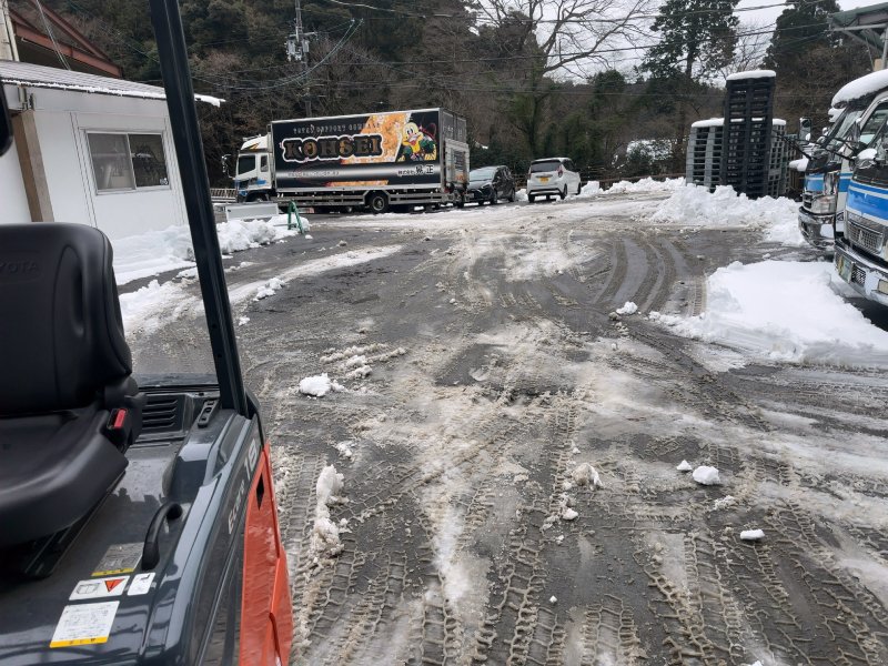 取り敢えず敷地内も動ける状態になったよ～
