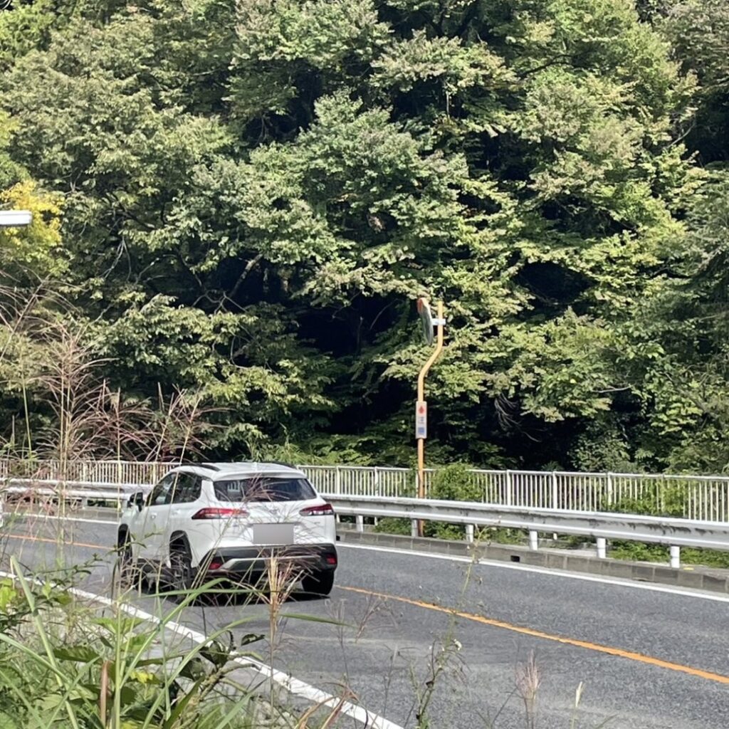 昨夜、熊が出たんだって！！