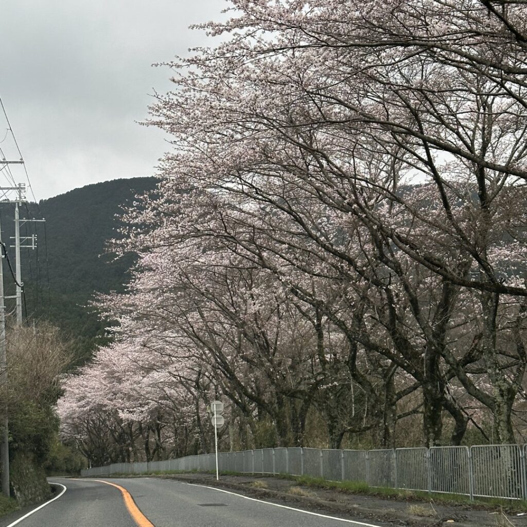 今日は時間切れやねぇ。