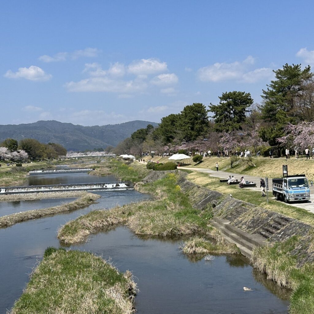 昨日の分も・・・