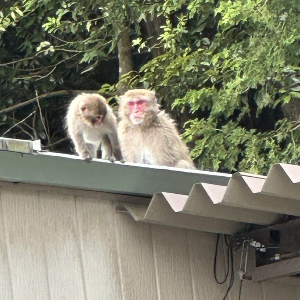 どんより曇った1日、だからかぁ～？？？？